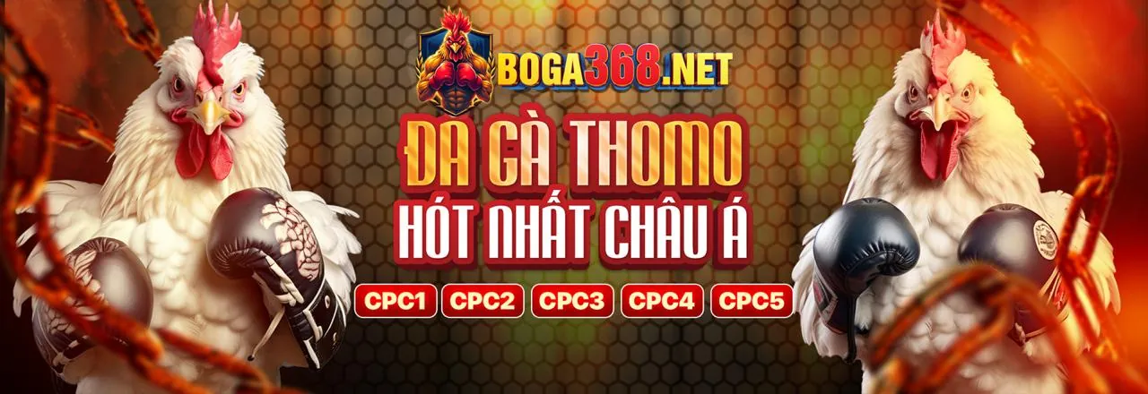 Đá gà trực tuyến FF66